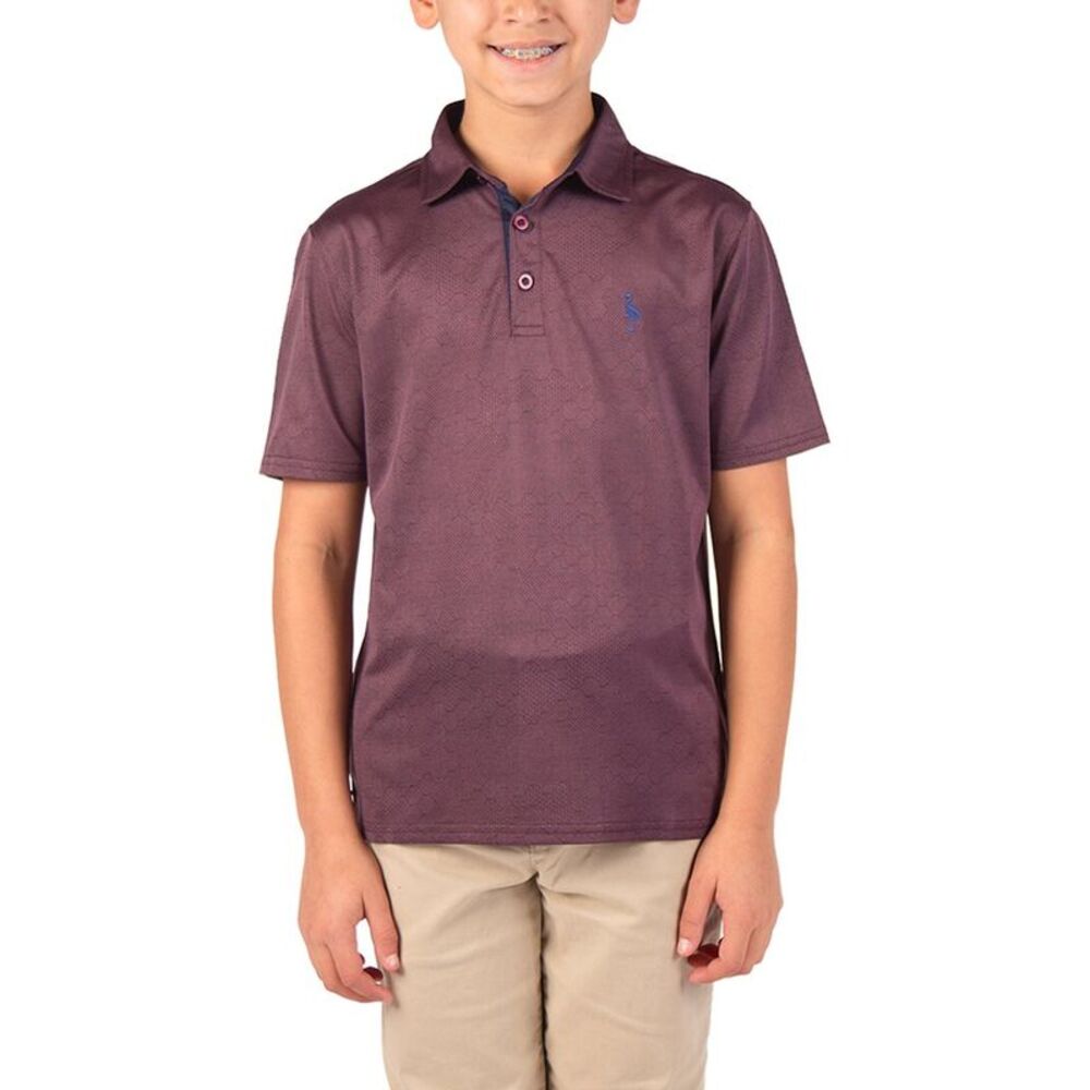 Tailorbyrd Boys  Solid Polo Shirt, Red